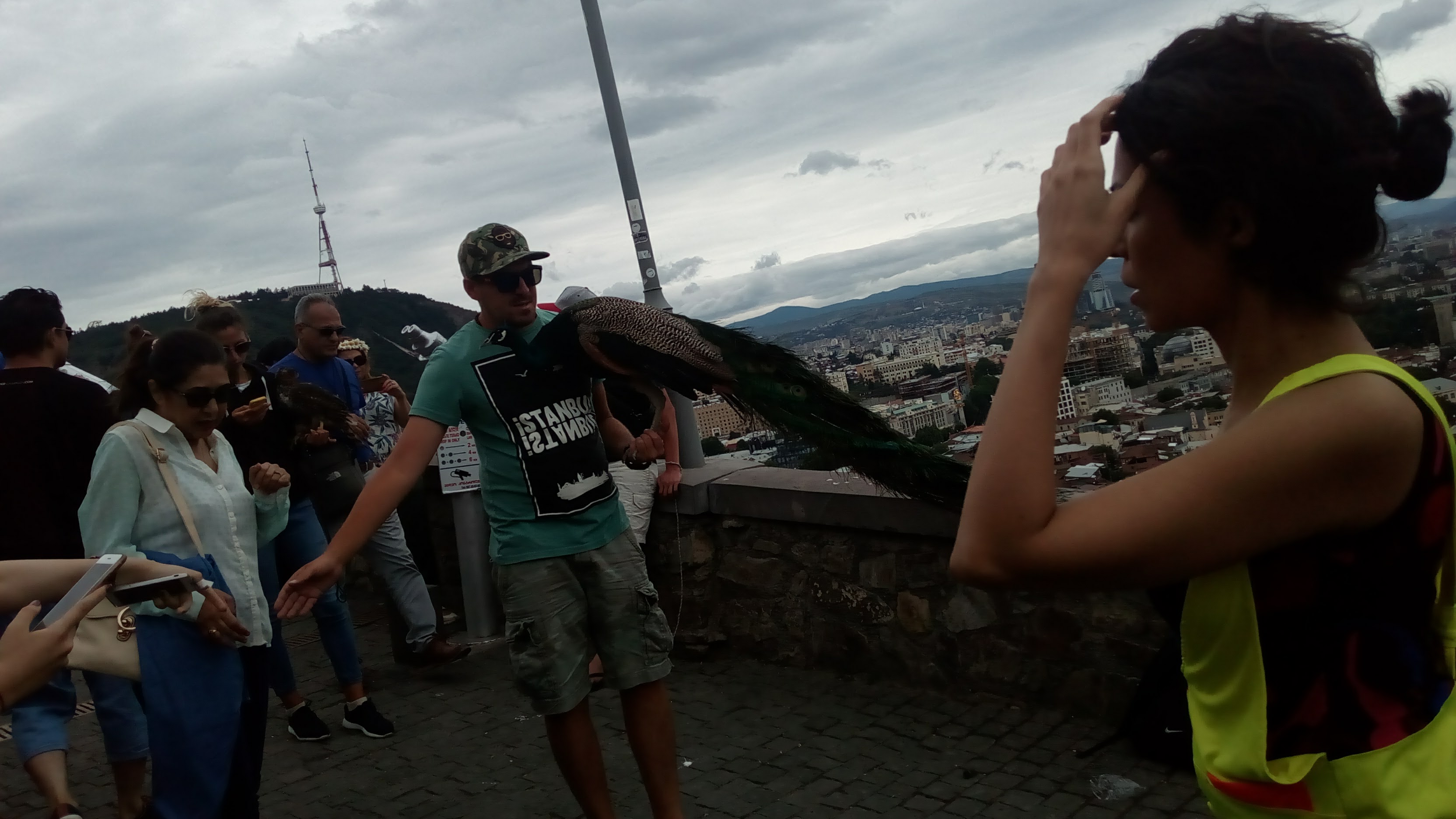 Birds and tourists 